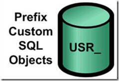 Prefix Custom SQL Objects. For customizations, it is important that tables, stored procedures, user defined functions, and views start with “USR_’. Prefixing database objects with USR_ is a key to avoid potential naming collisions with future features delivered as part of the product. Prefix Custom SQL Objects. For customizations, it is important that tables, stored procedures, user defined functions, and views start with “USR_’. Prefixing database objects with USR_ is a key to avoid potential naming collisions with future features delivered as part of the product.