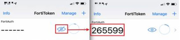 Select eye icon to show code