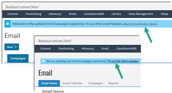 Campaign Experience Toggle