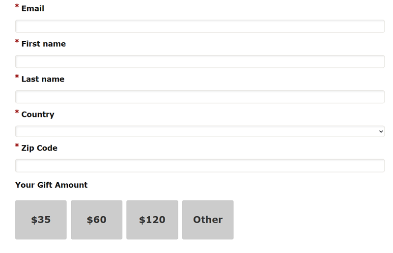 Checkout S1300 Required Fields