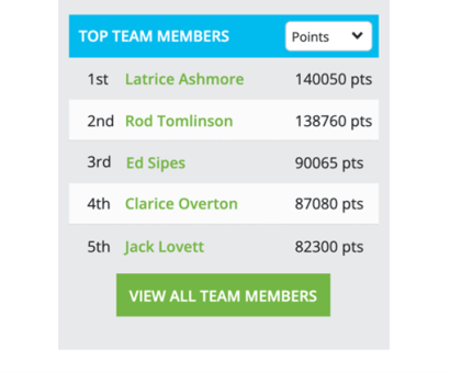 Team page leaderboard example displaying top five team members by point totals