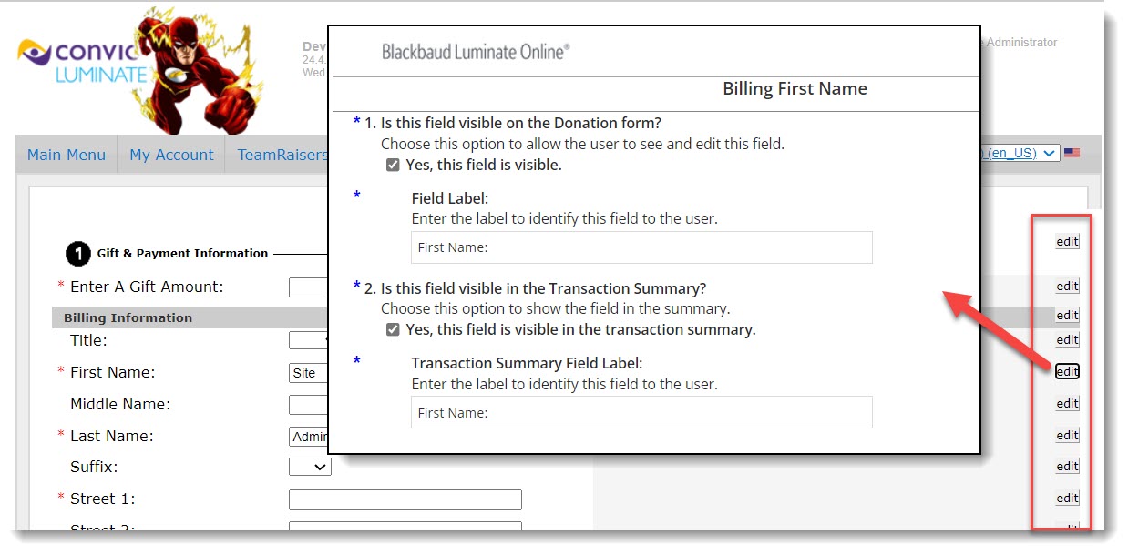 Donation form preview