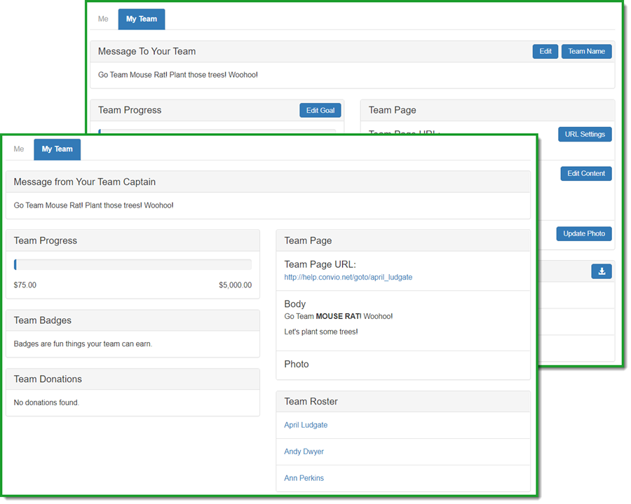 Example Team Summary